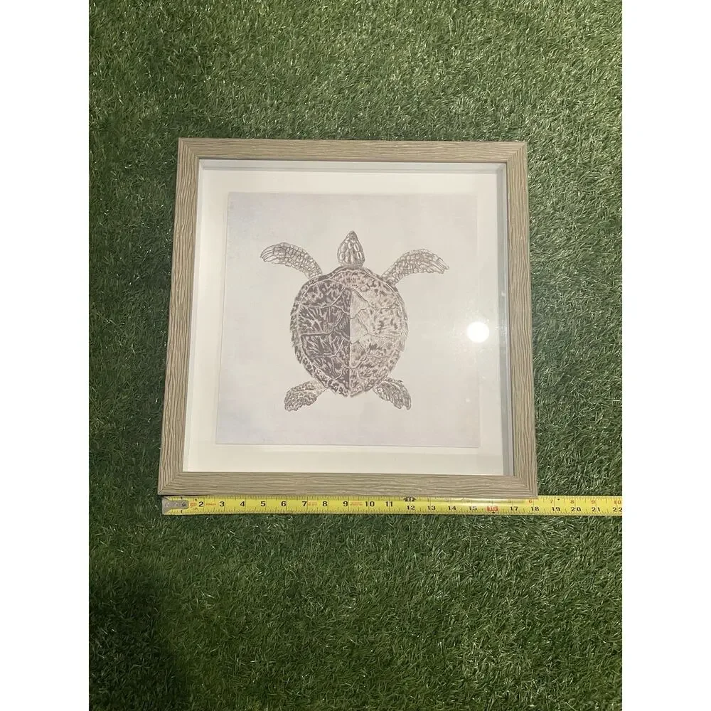 Coastal Sea Turtle Sketch Shadow Box Framed Wall Art Print Grey Matt 18